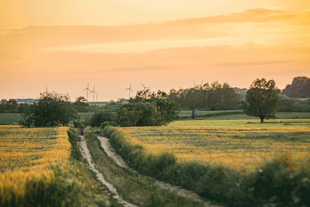 Ein warmer Sonnenuntergang und ein Pfad in der Landschaft der Insel Usedom, beim Verlassen der Ortschaft Krummin.